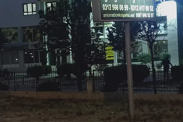 Ankara Love Garden Çiçekçilik - Resim 2