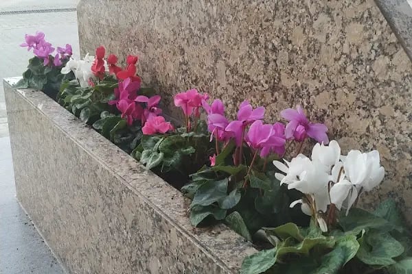 Verapol Plaza - Resim 18