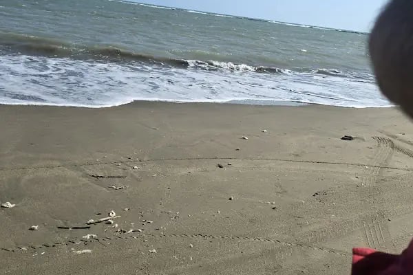 Karataş Barınak Plajı - Resim 16