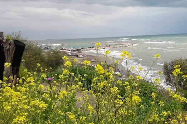 Karataş Barınak Plajı - Resim 17