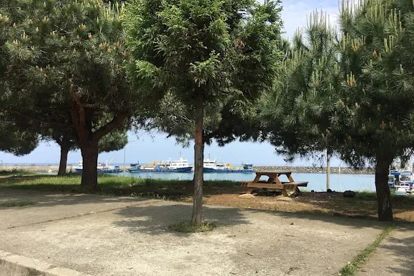 Akçakale Limanı - Resim 10
