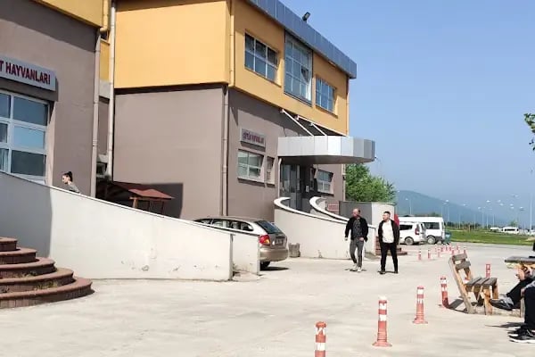 OMÜ Hayvan Hastanesi - Resim 1