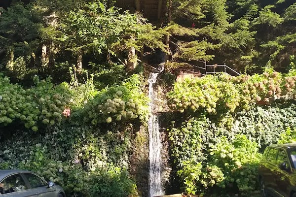Yakıcı Garden - Resim 3