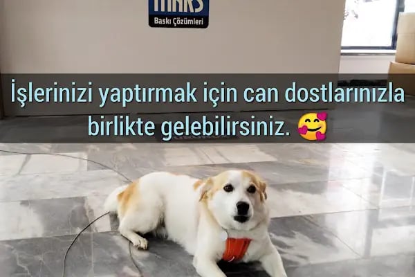 Mars Baskı Çözümleri | Fotokopi | Ozalit | Dijital Baskı | Matbaa | Copy Center - Resim 16