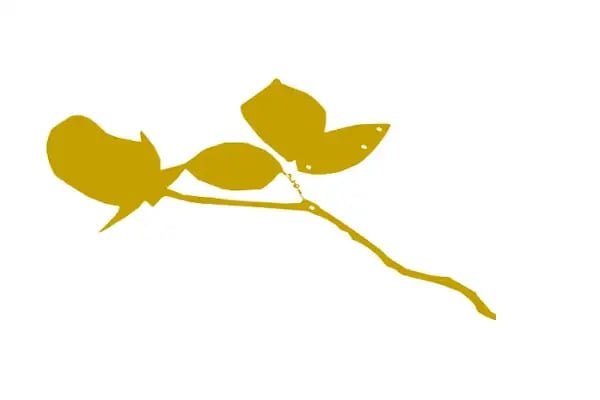 Ayşe Kaya Fotoğrafçılık - Resim 20