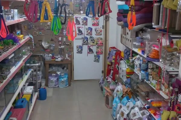 Altın Kafes Van Petshop - Resim 12