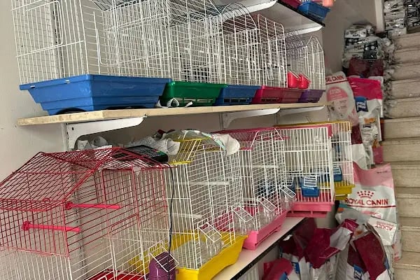 Altın Kafes Van Petshop - Resim 13