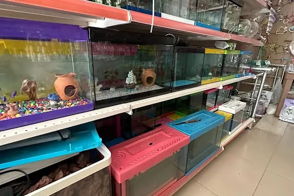 Altın Kafes Van Petshop - Resim 5