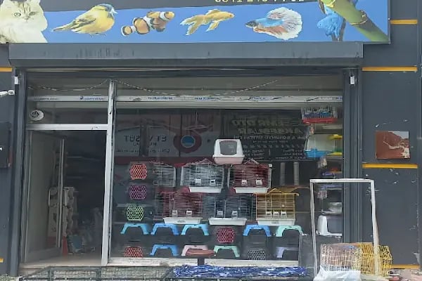 Altın Kafes Van Petshop - Resim 16