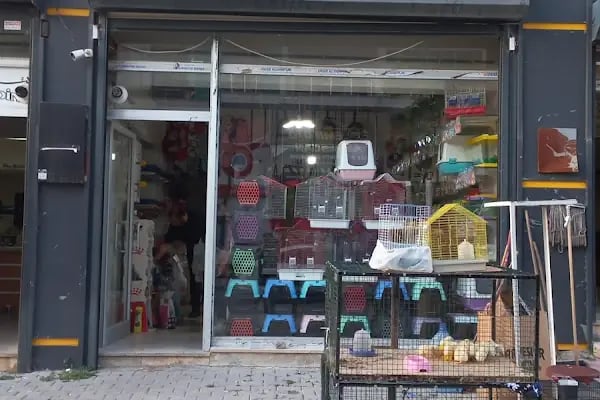 Altın Kafes Van Petshop - Resim 14
