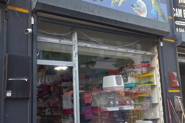 Altın Kafes Van Petshop - Resim 17