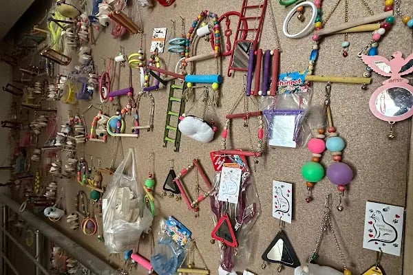 Altın Kafes Van Petshop - Resim 11