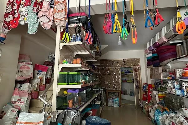 Altın Kafes Van Petshop - Resim 10