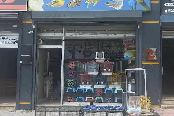 Altın Kafes Van Petshop - Resim 4