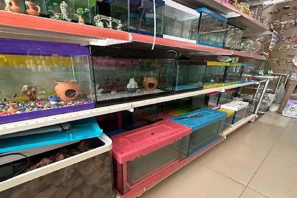 Altın Kafes Van Petshop - Resim 8