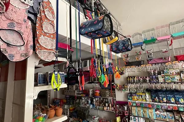 Altın Kafes Van Petshop - Resim 3