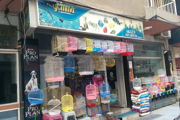 Akgün Akvaryum - Resim 19