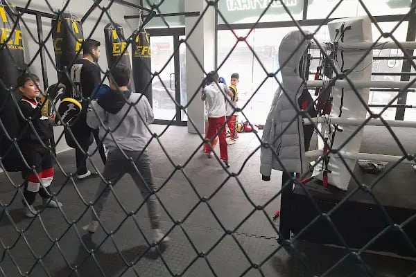 Eroğlu Fitness Club - Resim 5