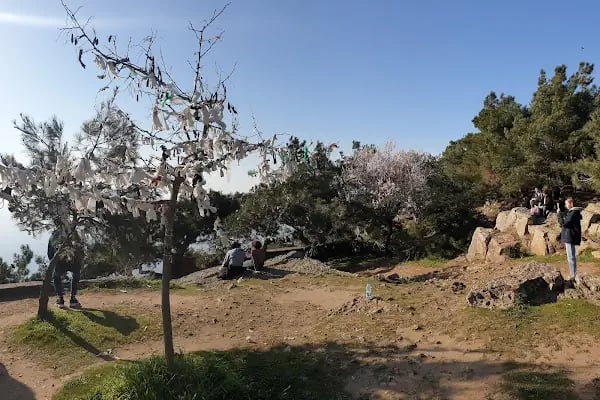 Aya Yorgi Rum Kilisesi - Resim 20