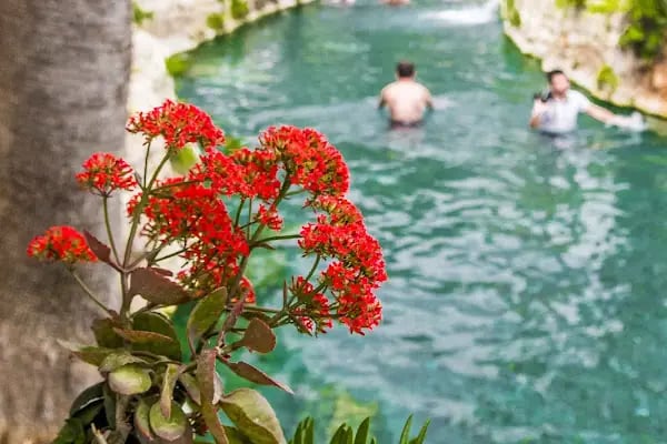 Ege Kleopatra aqua park işletmeleri - Resim 3