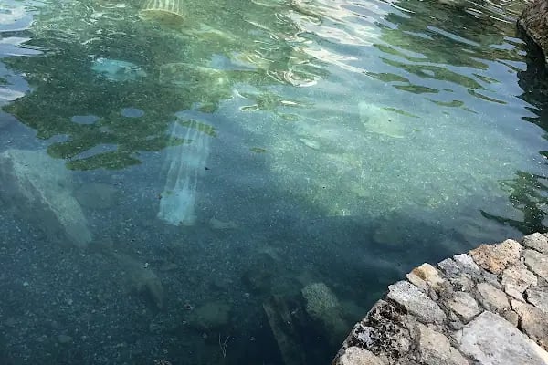 Ege Kleopatra aqua park işletmeleri - Resim 12