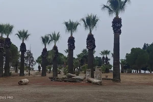 Ege Kleopatra aqua park işletmeleri - Resim 10