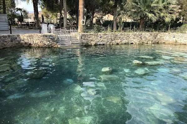 Ege Kleopatra aqua park işletmeleri - Resim 14
