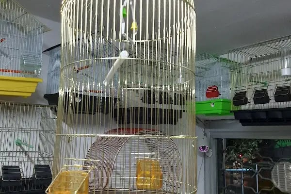 NUH AKVARYUM PETSHOP - Resim 18