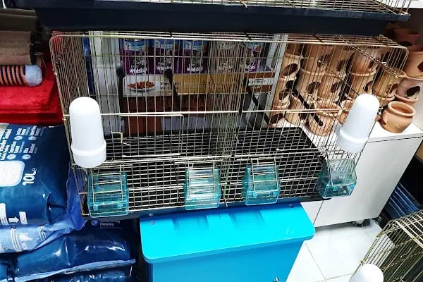 NUH AKVARYUM PETSHOP - Resim 3