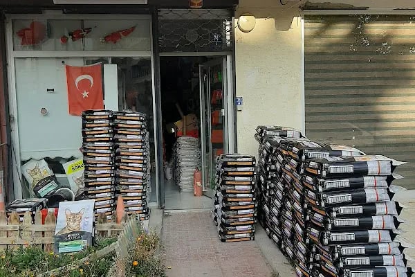 NUH AKVARYUM PETSHOP - Resim 2
