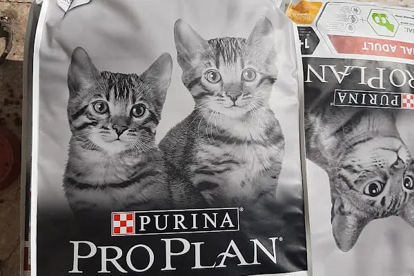 NUH AKVARYUM PETSHOP - Resim 7
