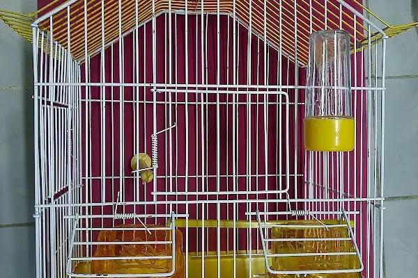 NUH AKVARYUM PETSHOP - Resim 12