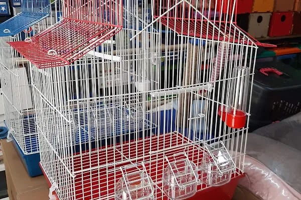 NUH AKVARYUM PETSHOP - Resim 15