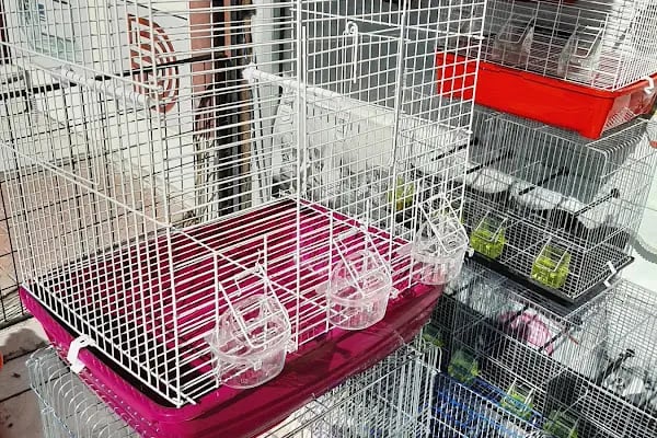NUH AKVARYUM PETSHOP - Resim 6