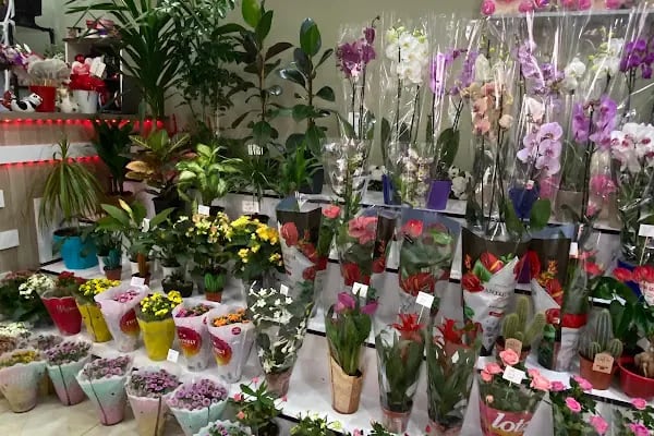 Date Çiçekçilik Ve Organizasyon - Resim 8