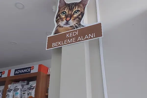 Dalaman Veteriner Kliniği - Resim 19