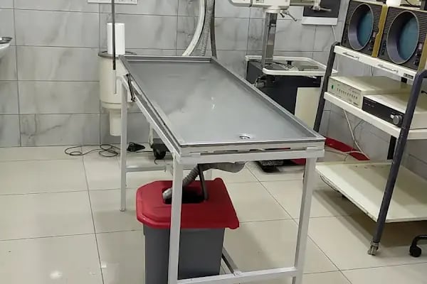 Orca Veteriner Kliniği - Resim 18