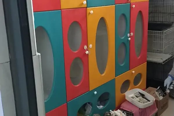 Orca Veteriner Kliniği - Resim 16