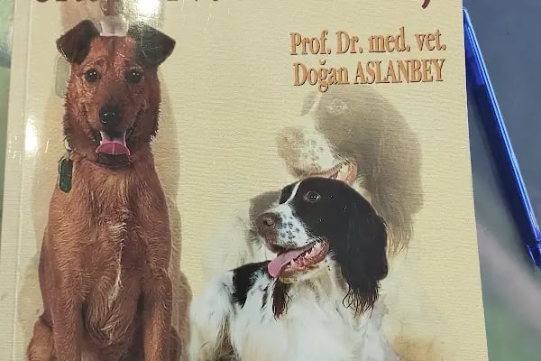 Orca Veteriner Kliniği - Resim 10