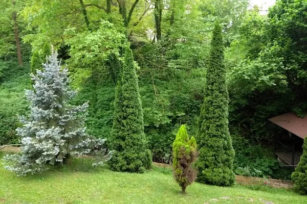 Sessiz Ev Ciftlik Hotel - Resim 9