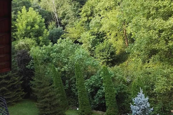 Sessiz Ev Ciftlik Hotel - Resim 5