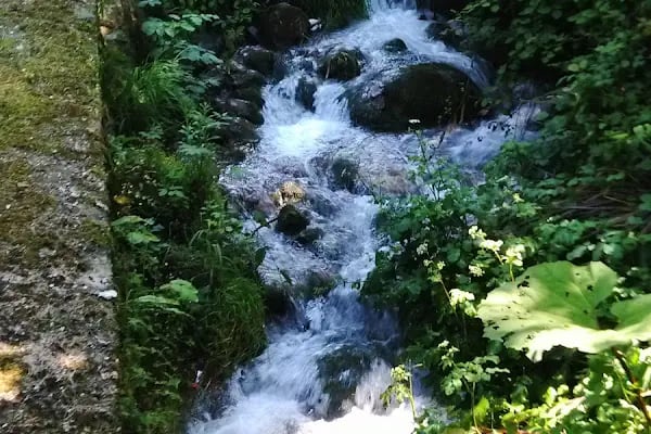 Sessiz Ev Ciftlik Hotel - Resim 16