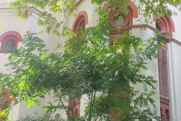 Büyükada Rum Ortodoks Kabristanı - Resim 10