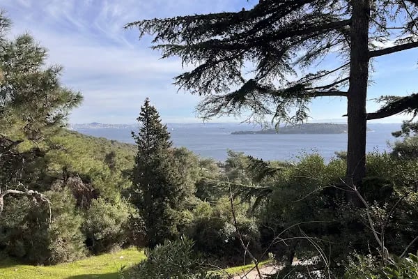 Büyükada Rum Ortodoks Kabristanı - Resim 7