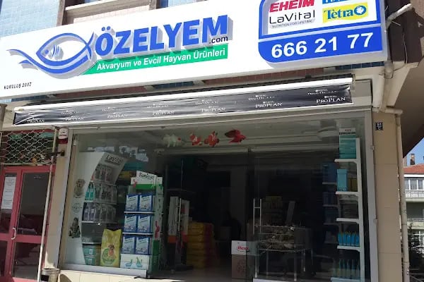Özel Yem - Resim 4