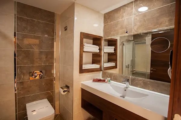 Mitannia Regency Hotel - Resim 4