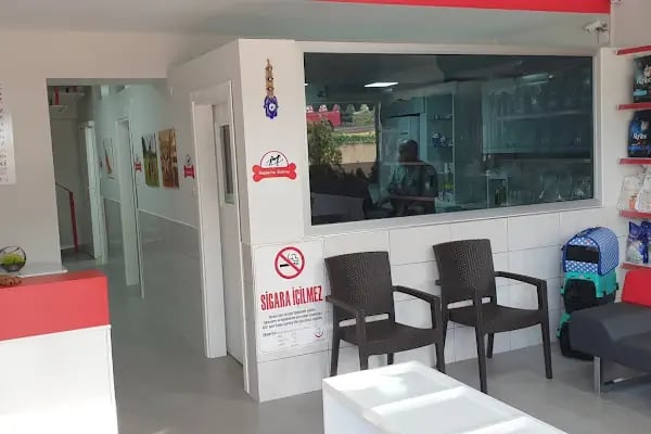 Yıldırım veteriner muayenehanesi - Resim 13
