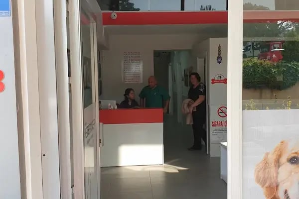 Yıldırım veteriner muayenehanesi - Resim 9