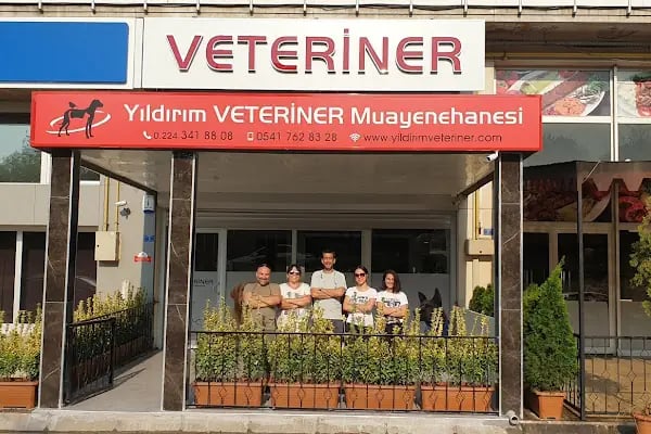 Yıldırım veteriner muayenehanesi - Resim 1