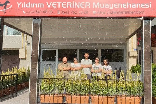 Yıldırım veteriner muayenehanesi - Resim 14